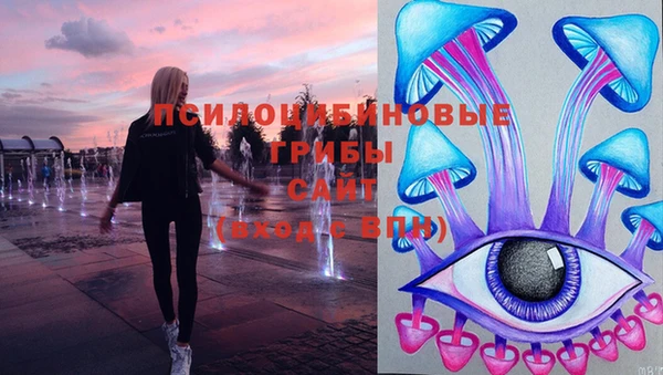 марки nbome Вяземский