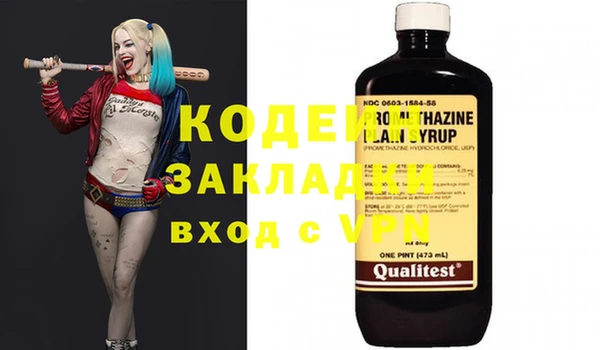крисы Бородино
